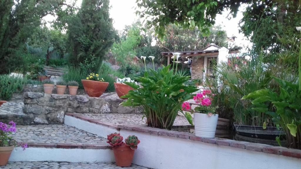 Casas De Almajar Villa Prado Del Rey Exterior photo