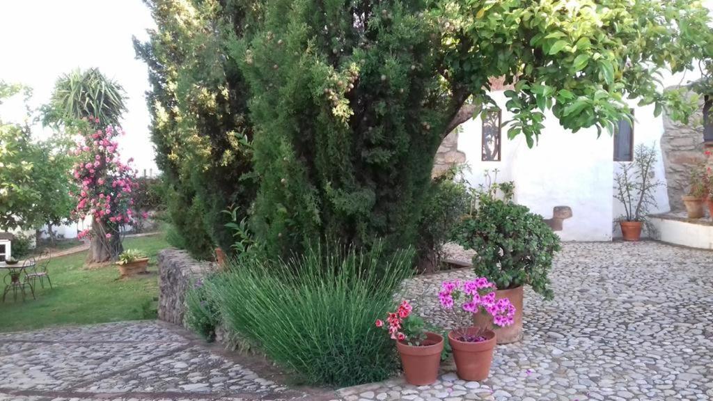 Casas De Almajar Villa Prado Del Rey Exterior photo